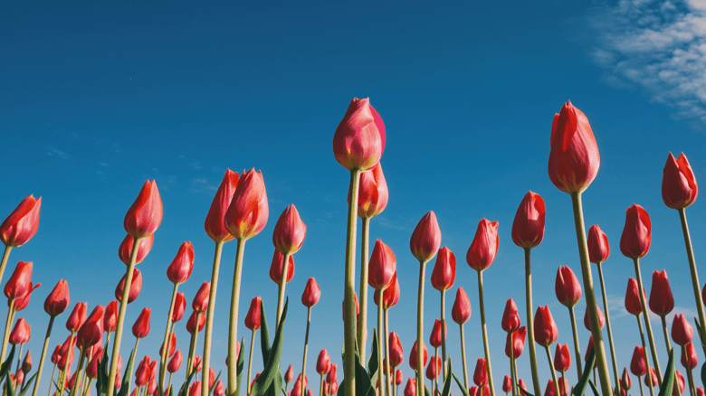 1920x1080_blogpost_gasunie (1)